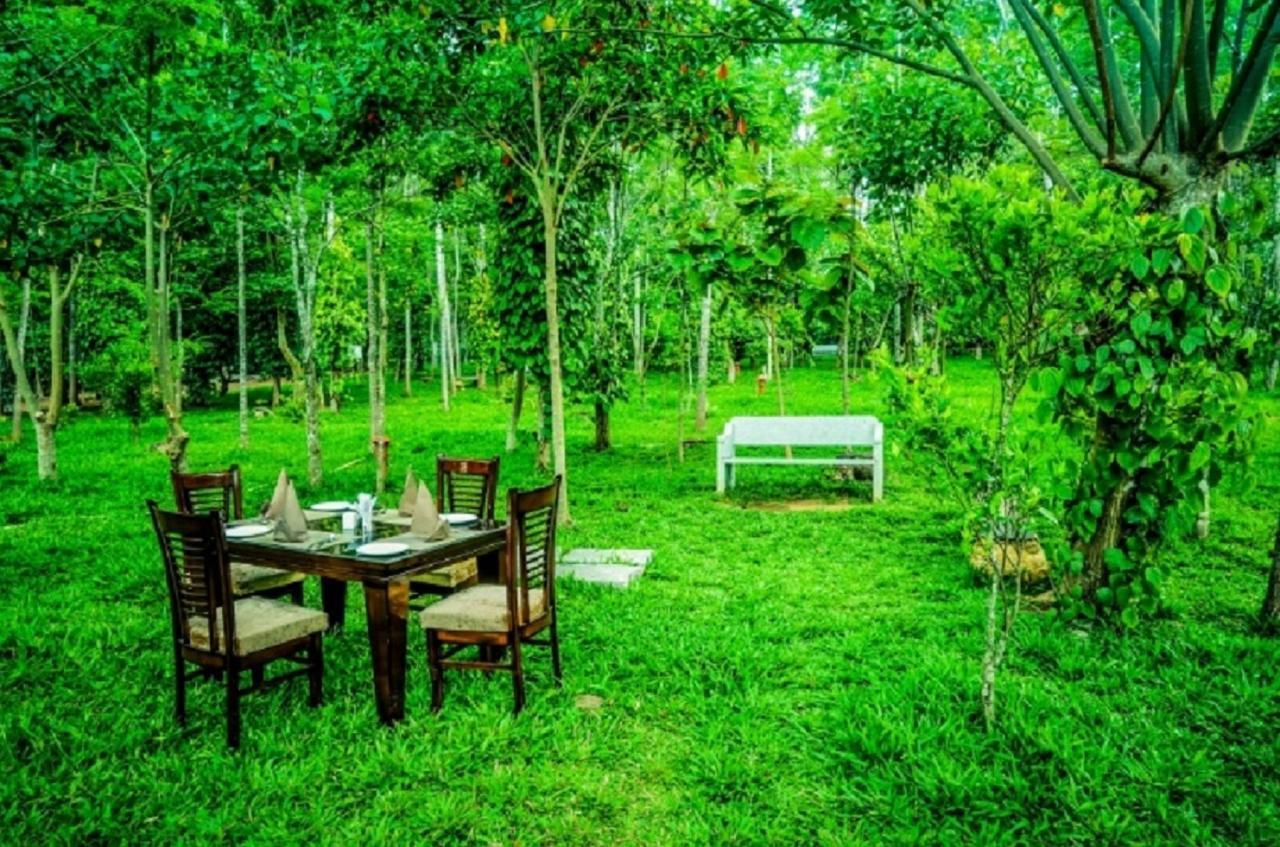 Myst - Yellow Lakes Resorts & Spa Yercaud Esterno foto